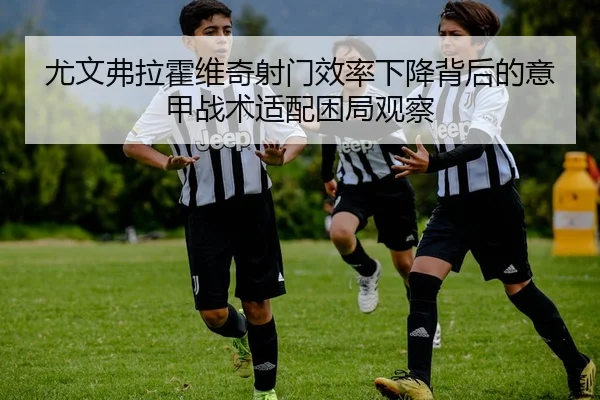 尤文弗拉霍维奇射门效率下降背后的意甲战术适配困局观察