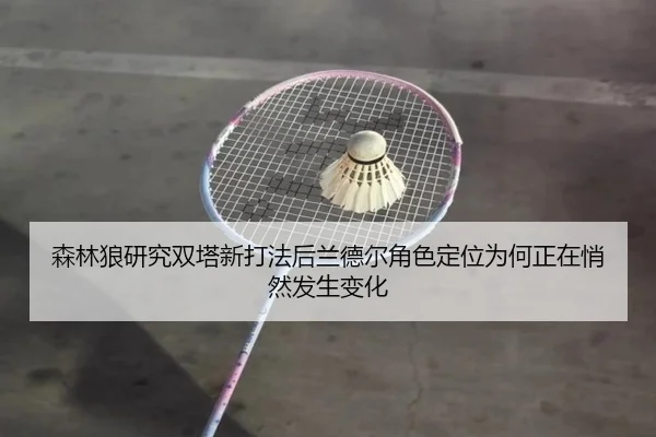 森林狼研究双塔新打法后兰德尔角色定位为何正在悄然发生变化